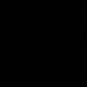 Meet your Posher, Roohie